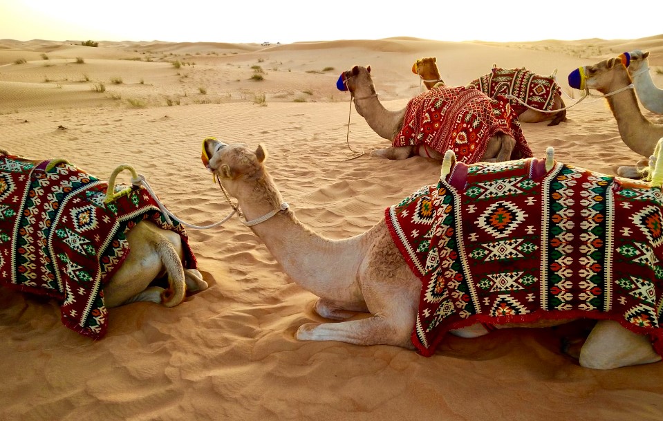 İzmir`den Dubai Turu SunExpress Havayolları ile 3 Gece