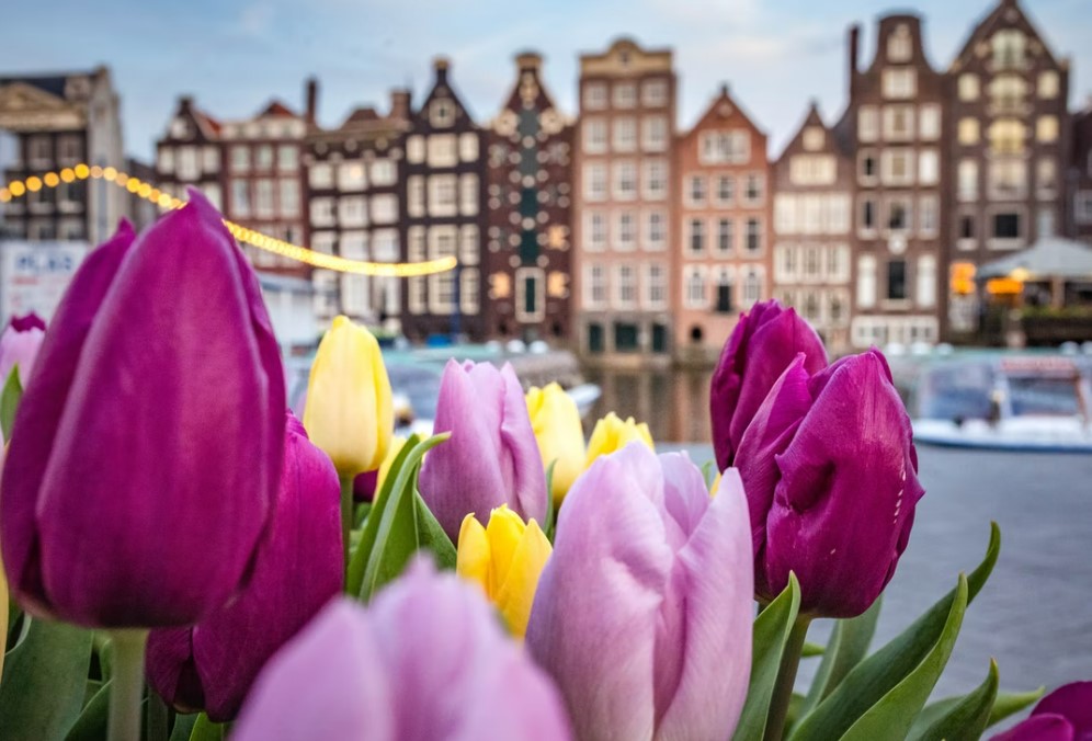 İzmir `Den Direkt Grand Benelux & Alsace & Paris & Almanya 6 Gece 7 Gün - Geziler Dahil