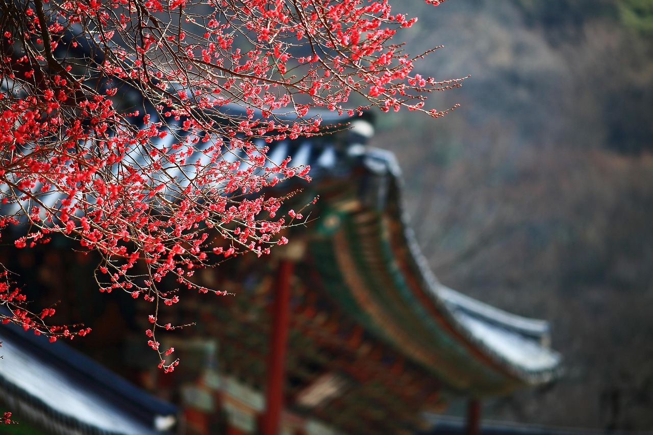 Thy Ile Grand Japonya Turu NRT-KIX - Vizesiz
