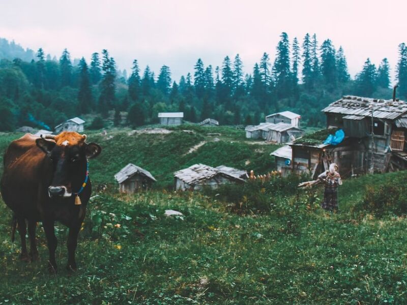 İzmir Çıkışlı Boydan Boya Özel Karadeniz Rüyası ve Batum Turu (7 Gece 8 Gün)