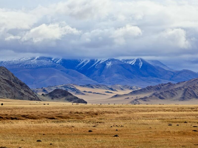 Moğolistan Turu Türk Havayolları İle 9 Gün