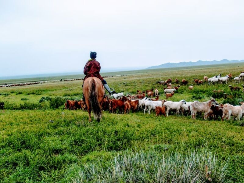 Moğolistan Turu Türk Havayolları İle 9 Gün