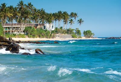 Sri Lanka Turu Türk Havayolları İle 8 Gün