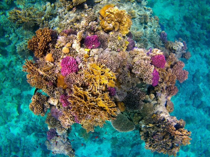 Promosyon Kahire Sharm El Sheikh Turu 6 Gece Kahire Şehir Gezisi Dahil