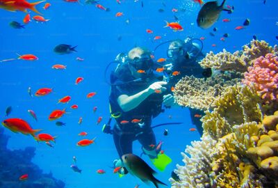 THY ile İstanbul`dan Sharm El Sheikh Turu 6 Gece