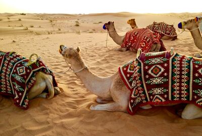Vize Dahil Bir Dubai Masalı Turu Dubai Şehir Turu Ve Abra Geçişi Dahil Dubai Şehir Turu Ve Abra Geçişi Dahil