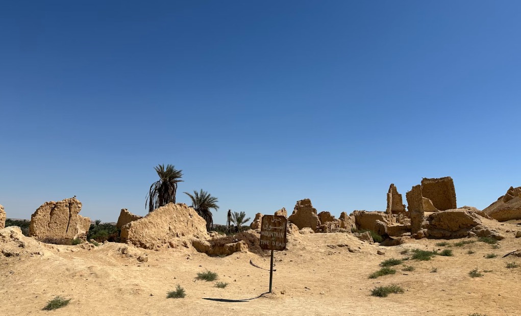 Promosyon Sharm El Sheikh Turu Ajet ile 4 Gece Otelden Erken Çıkışlı