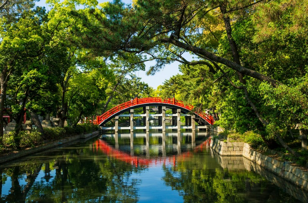 Büyük Japonya 2026 TK (NRT-KIX)