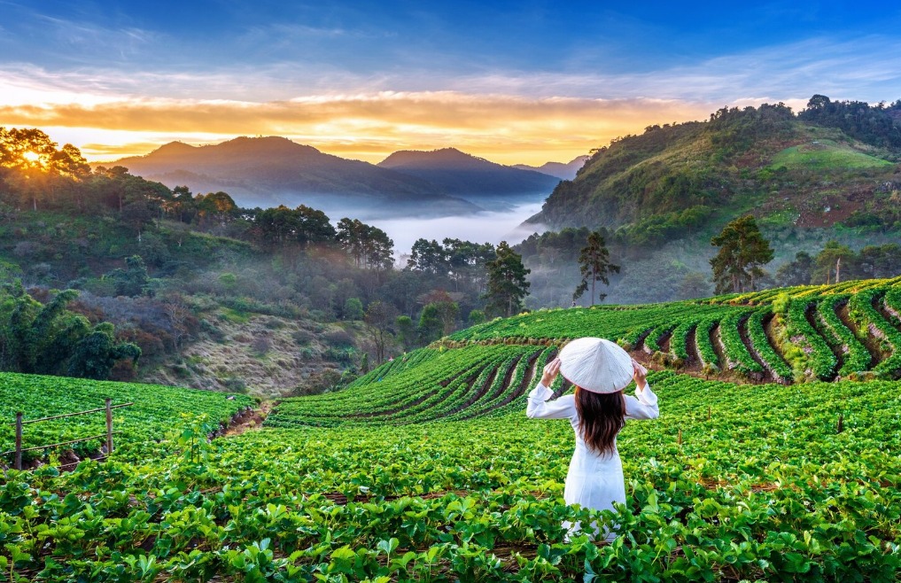 Vietnam Kamboçya Laos Turu 13 Gün - 2026