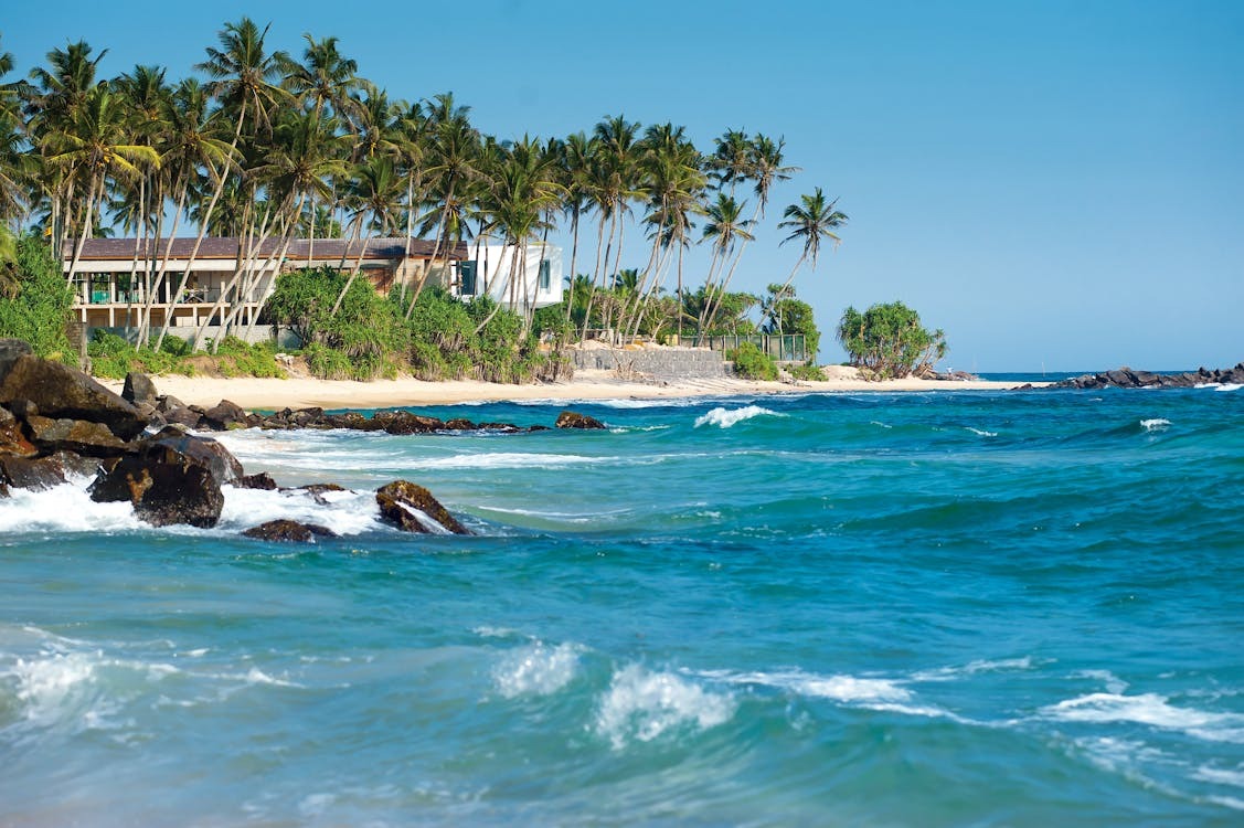 Elegant Sri Lanka Türk Hava Yolları İle 6 Gece