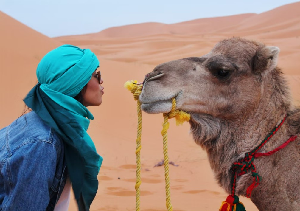Fas Sahra Çölü ve Binbir Gece Masalları Air Arabia Hava Yolları ile 6 Gece