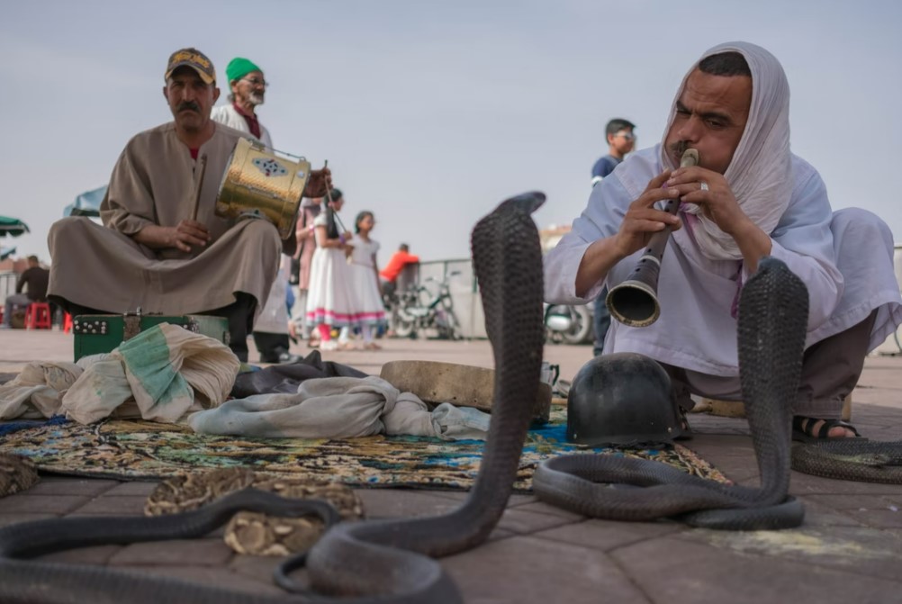 Elegant Fas & Çöl Safari Air Arabia Hava Yolları İle 4 Gece Ekstra Turlar Dahil