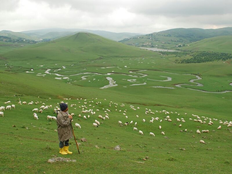 Uçaklı Batum Konaklamalı Karadeniz ve Yaylalar Turu(Trabzon başlar, Rize biter)