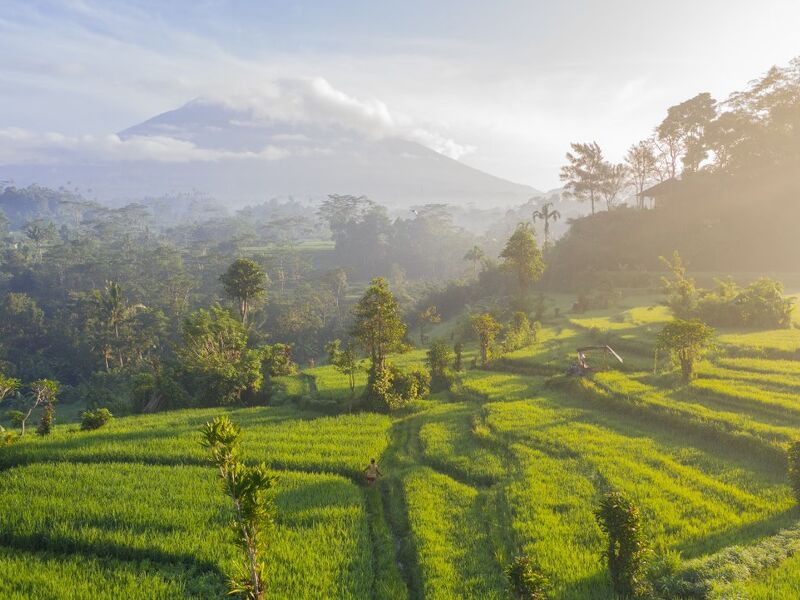 Singapur HY ile Ubud & Bali Turu Sömestir Dönemi 22 Ocak Hareket