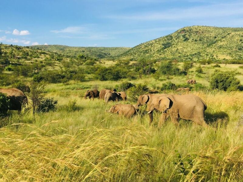 Görkemli Güney Afrika ve Safari 7 Gece - THY ile 01 Haziran (Kurban Bayramı Özel)