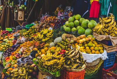 Panama Kosta Rika  Nikaragua El Salvador Guatemala Meksika Turu Türk Hava Yolları ile 13 Gün     