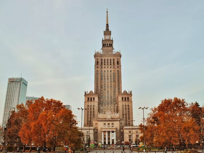 Almanya - Polonya 2025