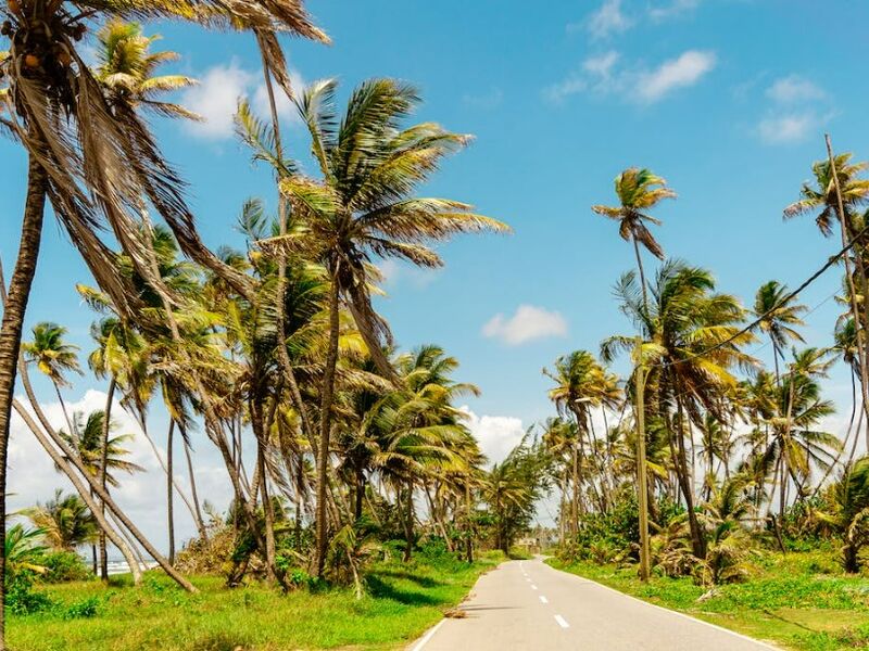 Küba Turu Thy İle 7 Gece 9 Gün