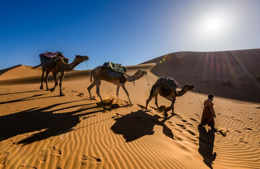 Görkemli Fas Krallığı ve Mistik Şehirler 4 Gece - THY ile (2025 Sonbahar - Kış Dönemi)