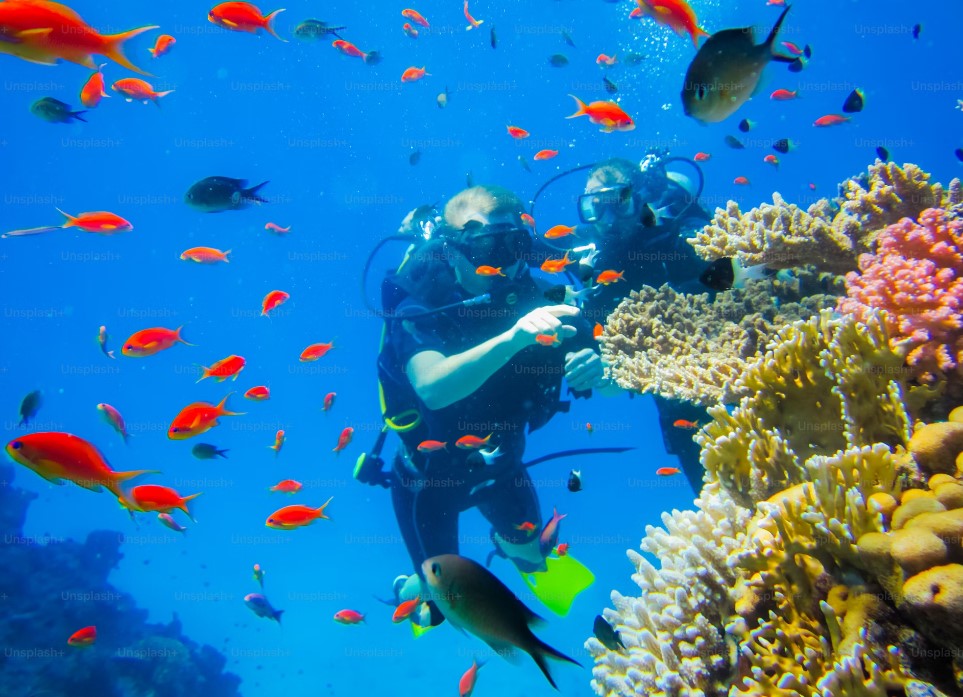 Sharm el Sheikh - Gündüz Uçakları - Her Şey Dahil Konaklama - Vizesiz - 3 Gece 4 Gün - 2025 Kış